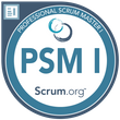 Scrum Master I